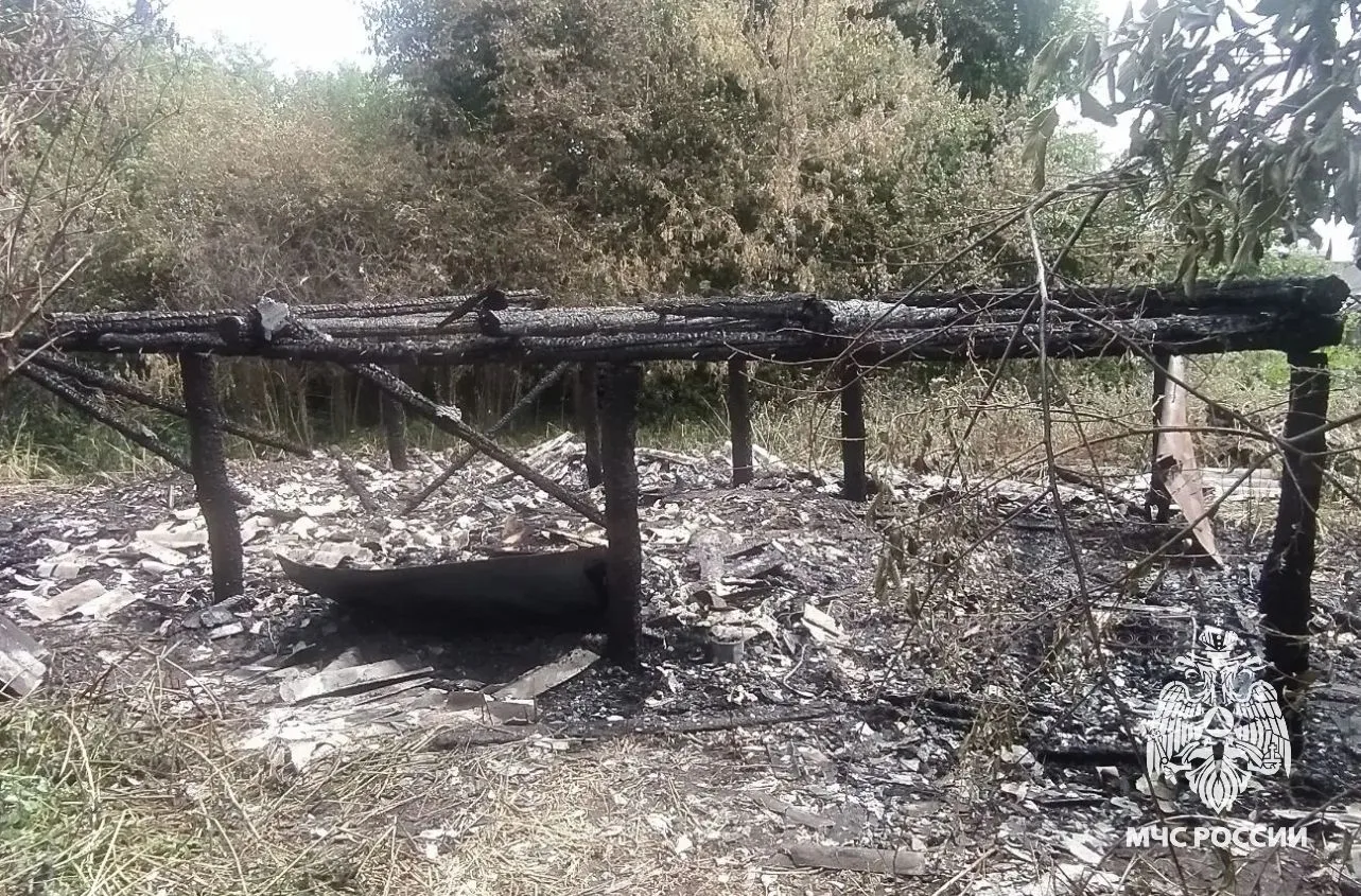 #СводкаМЧС

За сутки пожарно-спасательными подразделениями Рязанской области ликвидировано 9 пожаров