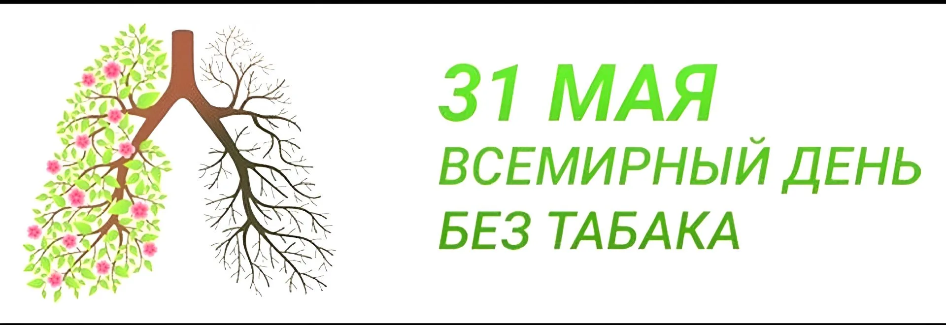 🚭 31 мая — Всемирный день без табака