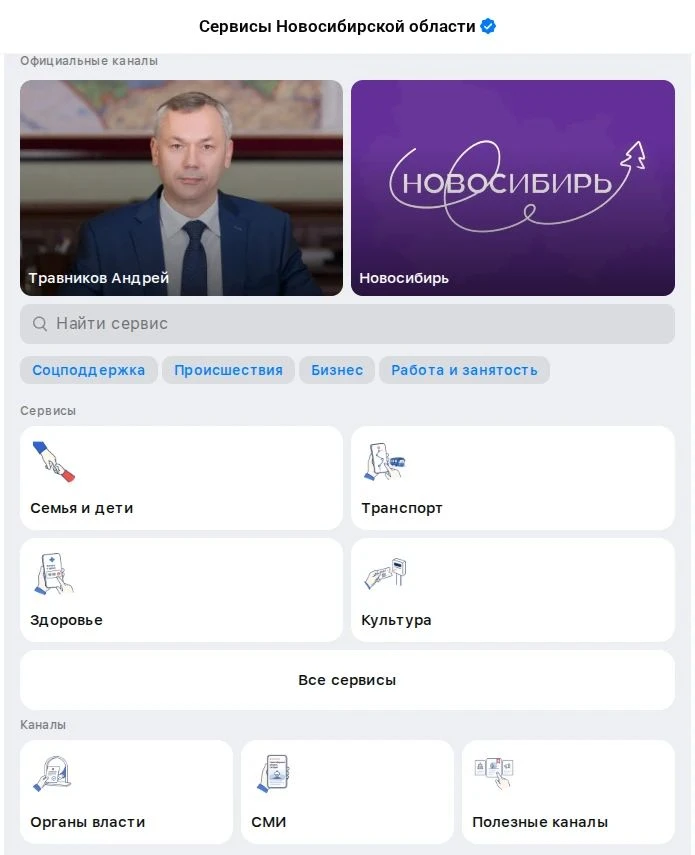 📲 Единая витрина сервисов Макс создана для удобства пользователей Новосибирской области