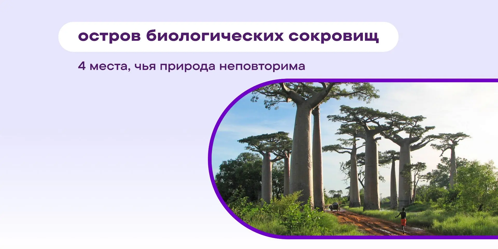 ✂️ Отрежьте кусок суши от материка, оставьте его в покое на несколько миллионов лет — и...