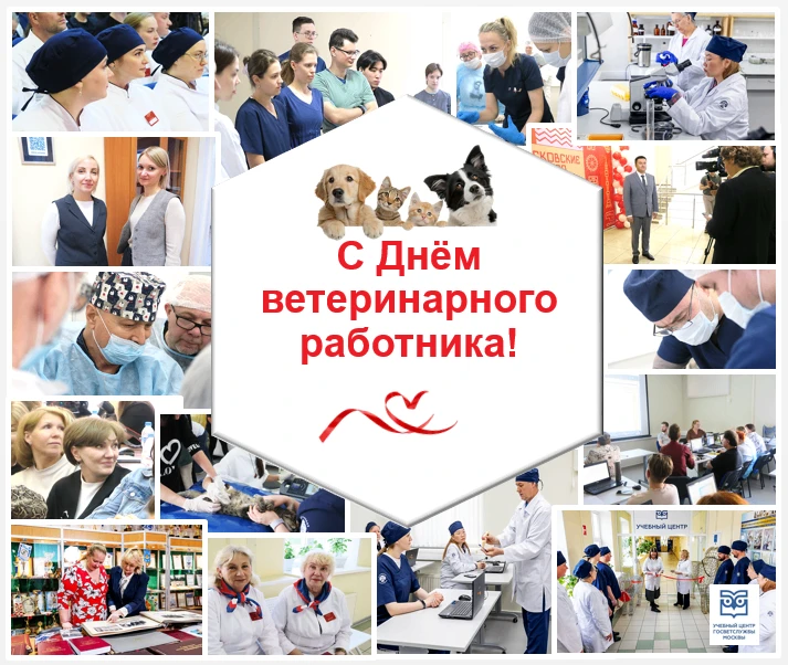 ✨ Сегодня мы отмечаем День ветеринарного работника России!