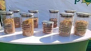 Цифровизация и обязательная апробация: Россельхознадзор напоминает хозяйствующим субъек...