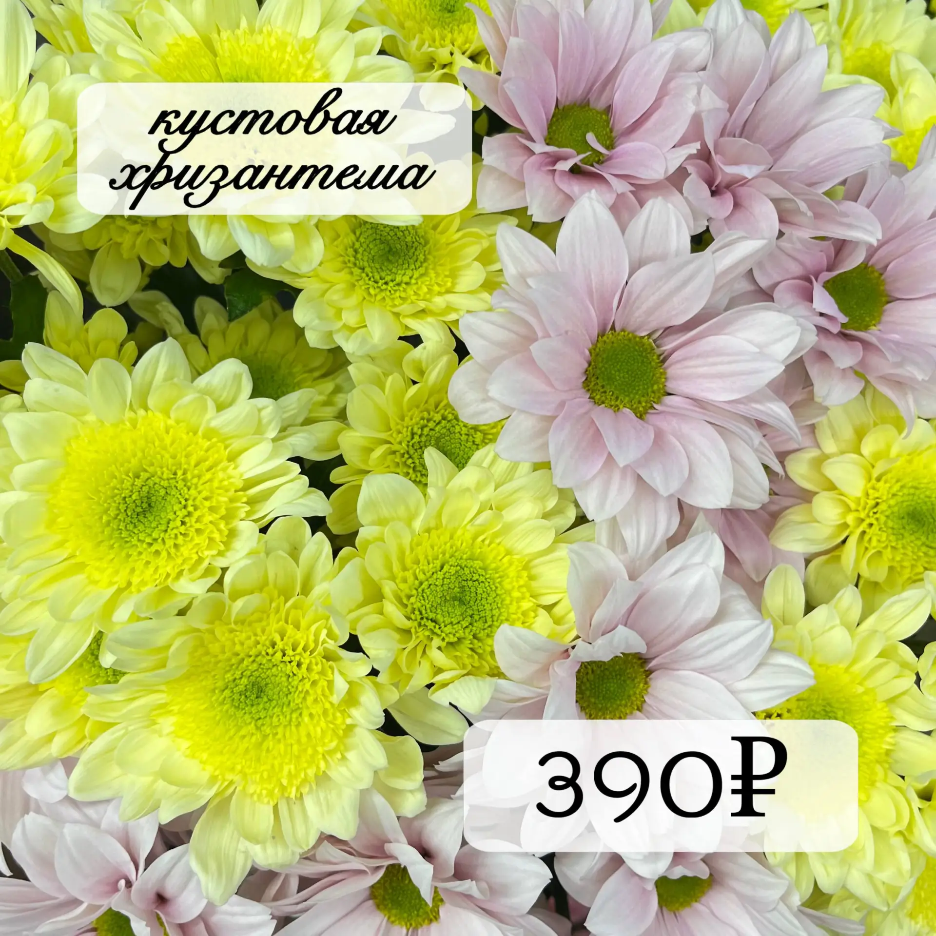 С Первым мая, друзья🌻
Мира всем(без исключений), труда(по желанию) и мая(тут уже без вариантов)🤞
И
