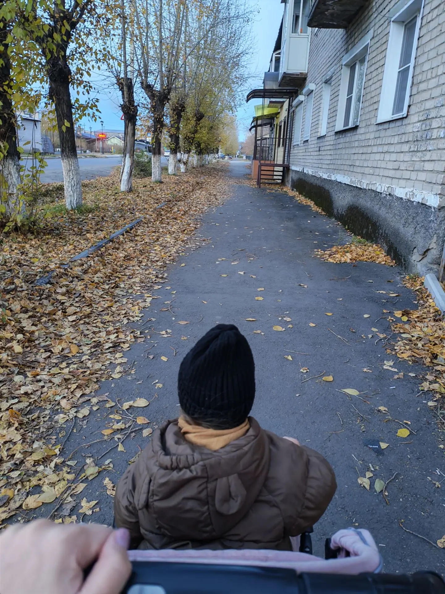 Вечерний променад)