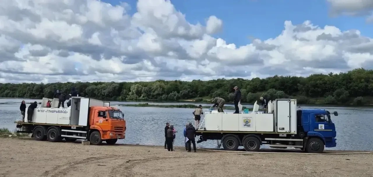 🐟 Совместная работа Камско-Волжского и Центрального филиалов Главрыбвода продолжается:...