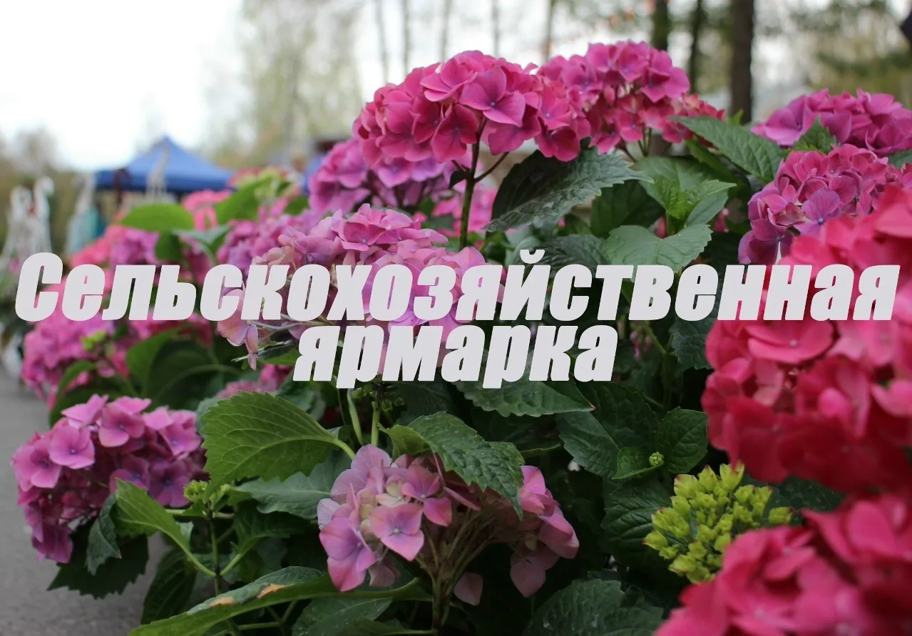 Принимаем заявки на сельскохозяйственную осеннюю ярмарку!