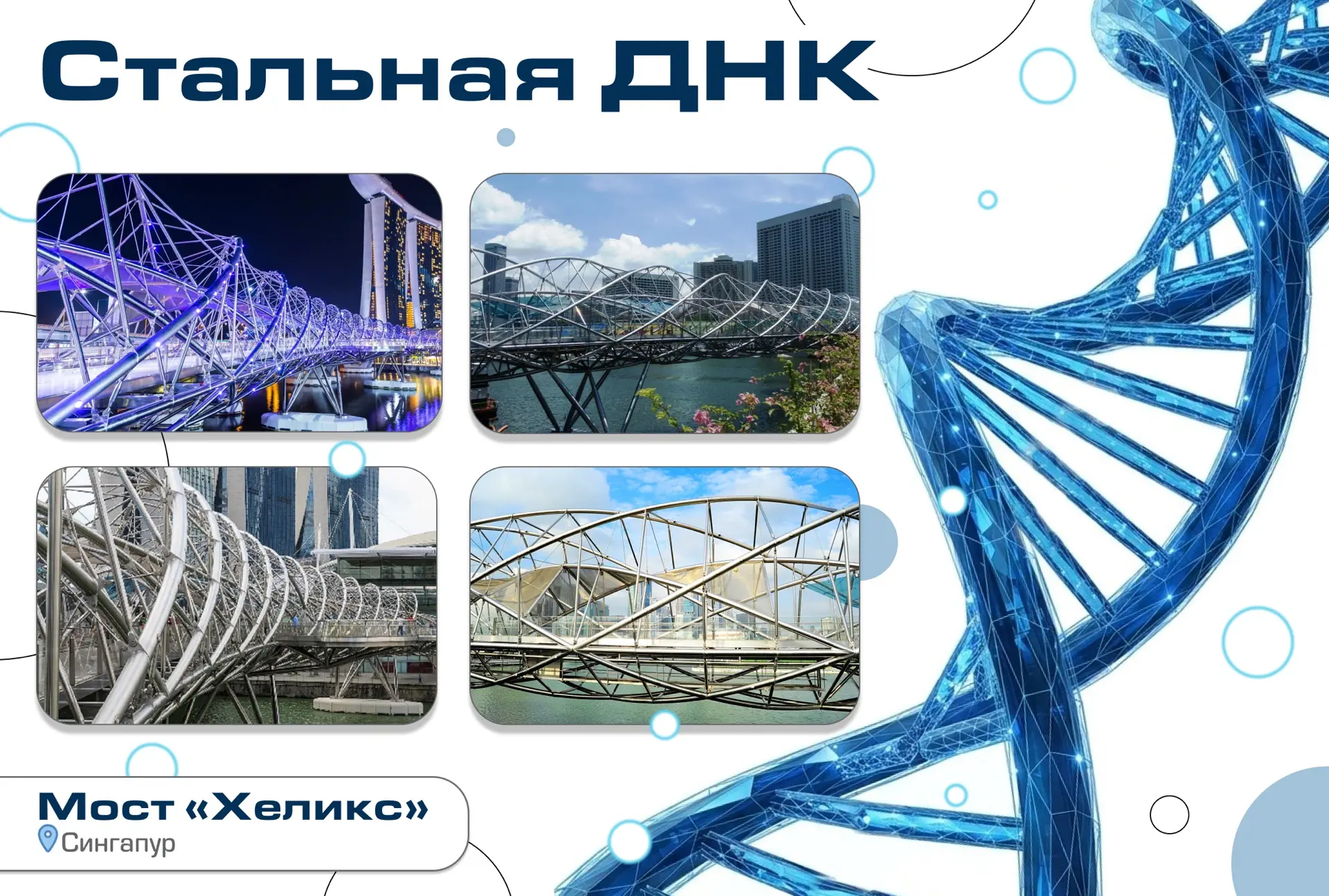 Представьте нить ДНК, превращённую в стальную спираль и переброшенную над водой. 

Так выглядит мост