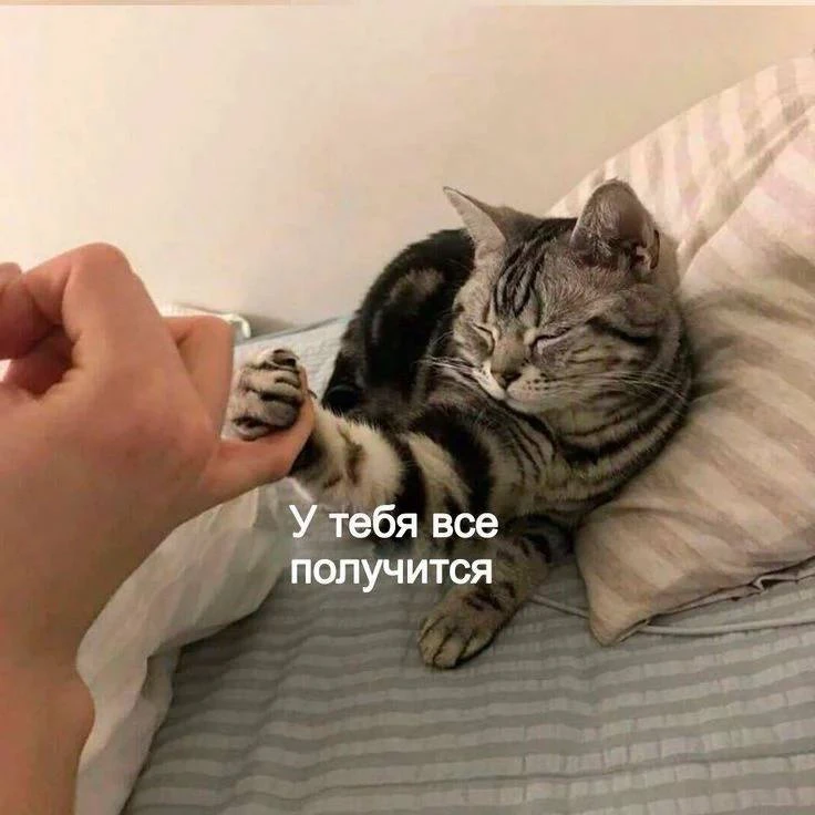 Ребята, которые завтра пишут ЕГЭ по биологии, желаю вам удачи! 💖

Я верю в каждого из вас, и уверен