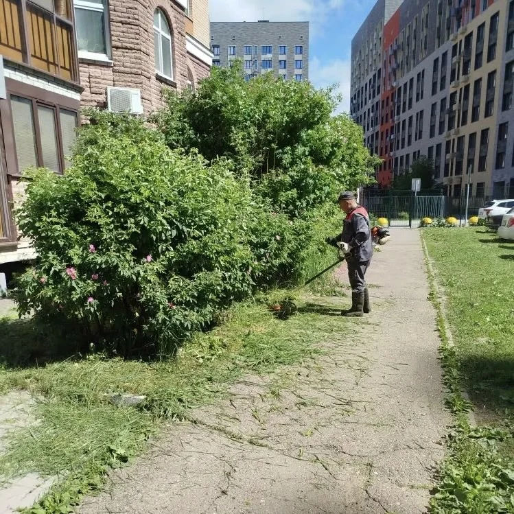✅Делимся приятными новостями! 

Каждую неделю наша команда трудится, чтобы ваши дворы были уютными, 