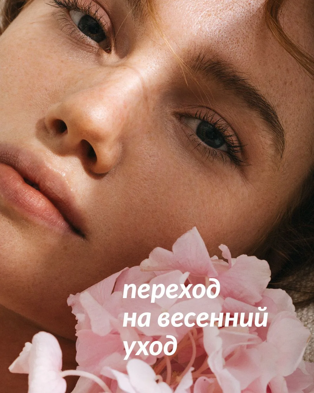 После нескольких месяцев, проведенных в условиях холодного воздуха на улице и сухого в ...