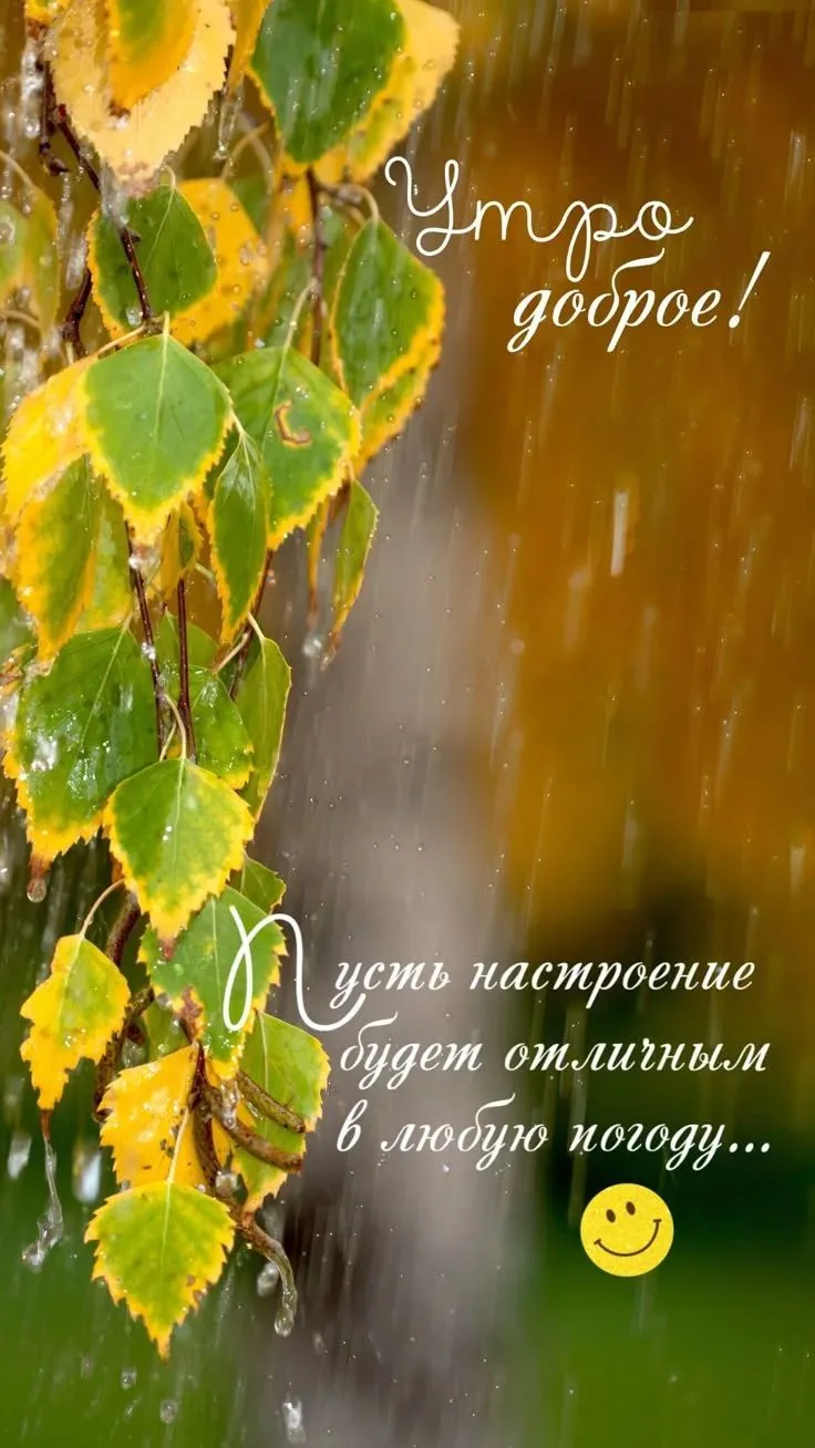 С добрым утром, дорогие коркинцы) приятных Вам выходных) и пусть погода в душе всегда о...