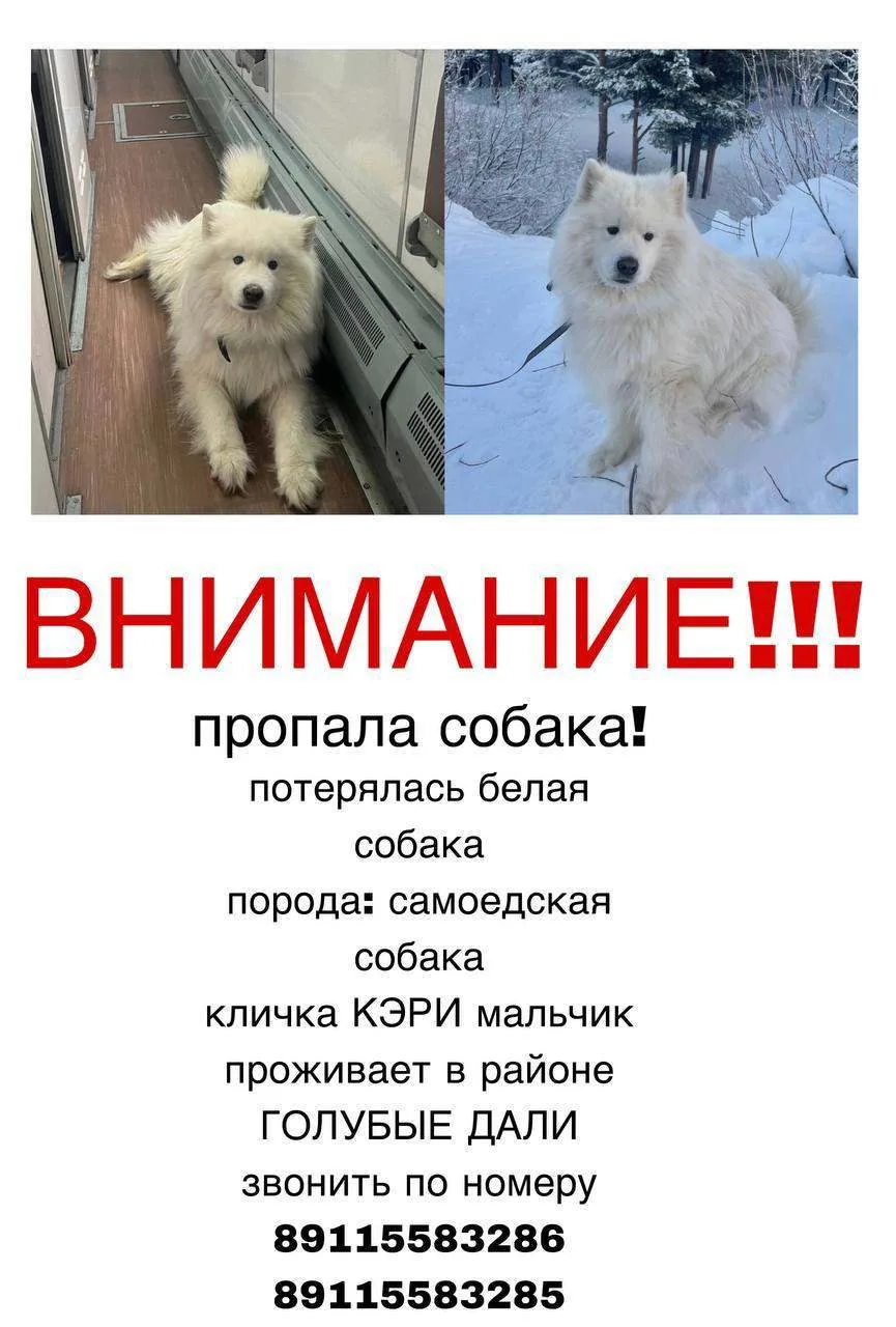 важна любая информация🙏🏼🙏🏼🙏🏼