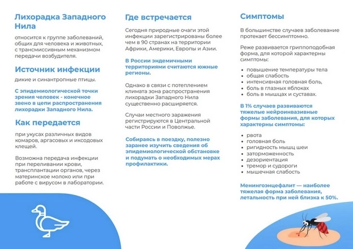 Меры по профилактике инфекций, передающихся комарами

В Волгоградской области зарегистрирован первый
