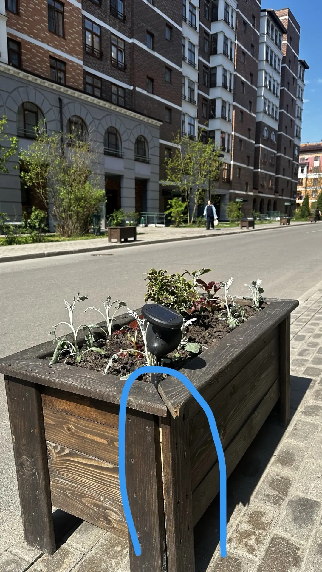 ❌❌❌❌❌❌❌❌❌❌❌❌❌❌Мы очень просим не присаживаться на деревянные вазоны, они не рассчитаны ...