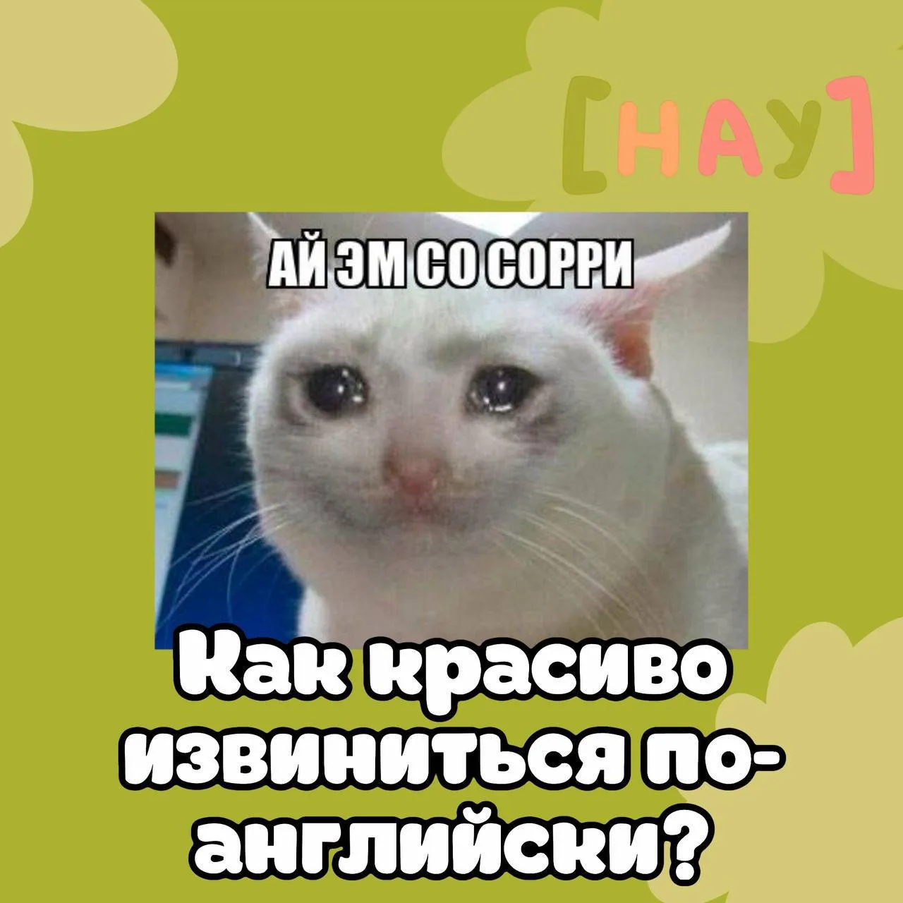 Как извинится по-английски и не звучать как учебник?
Приводим примеры на картинке!

Что НЕ стоит гов