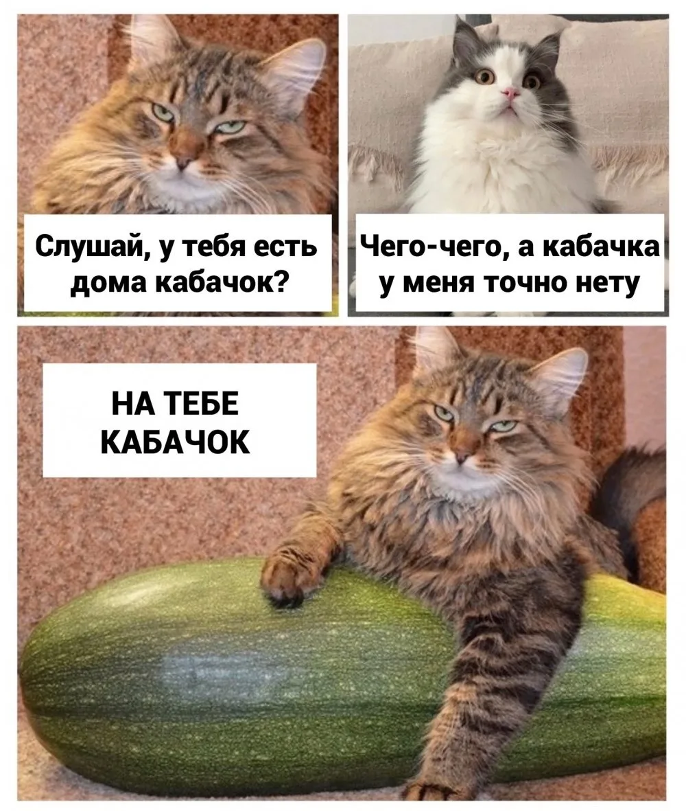 3 веские причины  оставить кабачок себе!