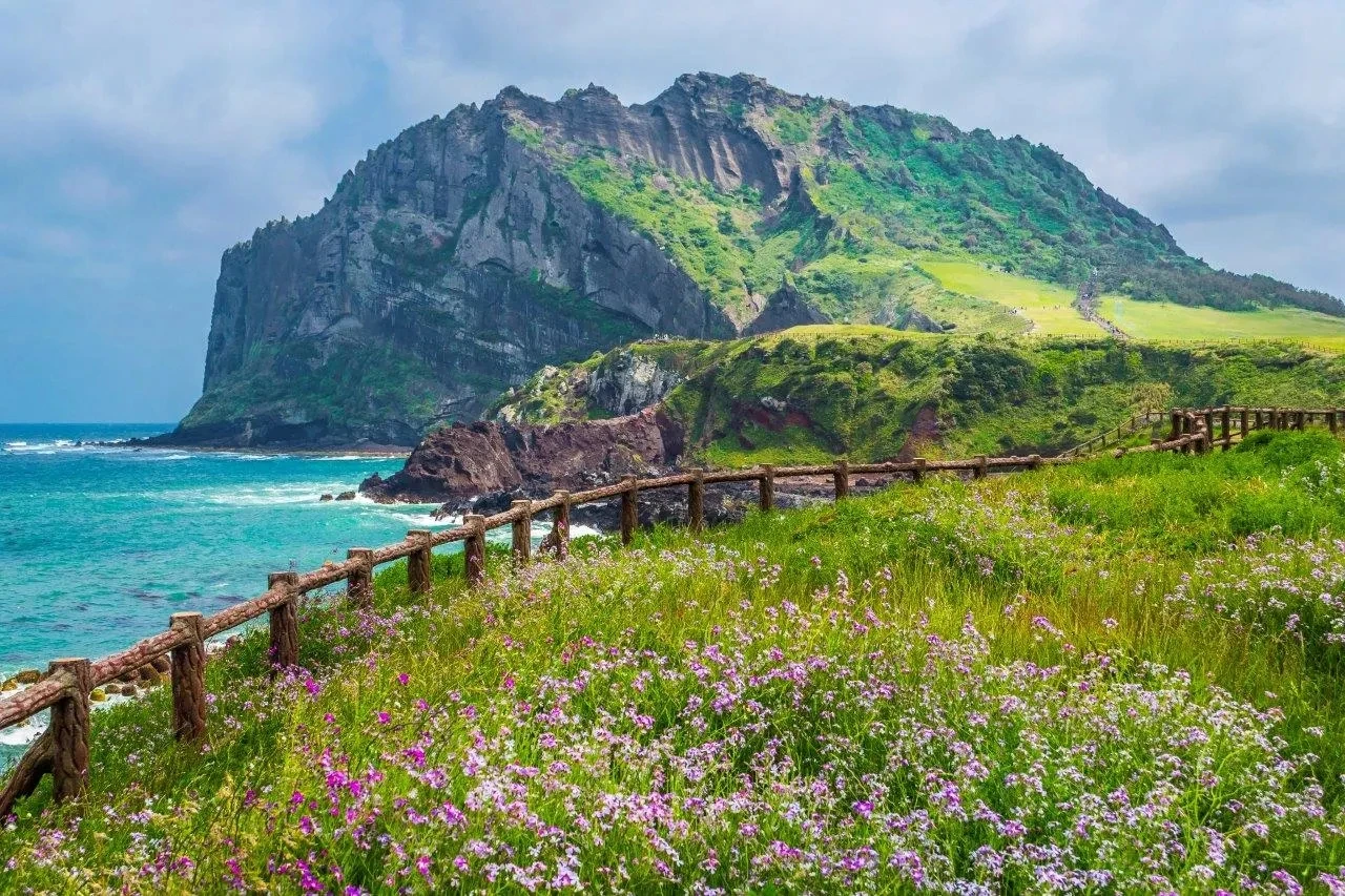 🍁 ОСЕННИЕ ЛИСТЬЯ И СБОР МАНДАРИНОВ! СЕУЛ – ЧЕДЖУ – КЕНДЖУ – ПУСАН