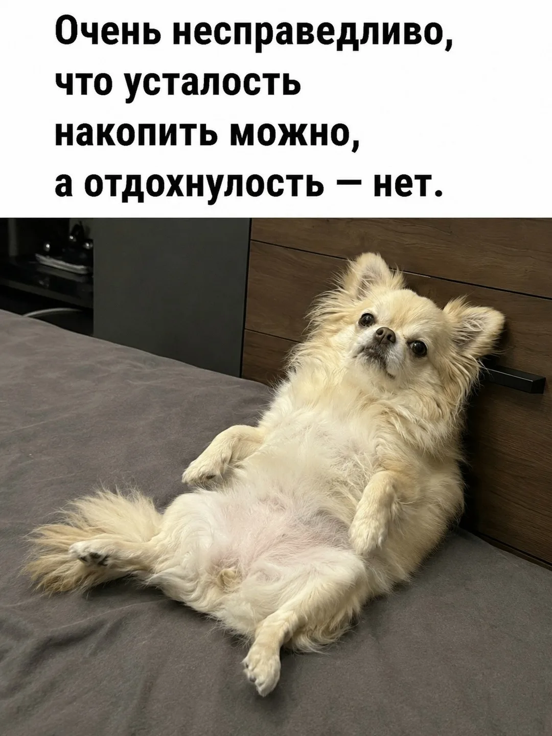 ЖИЗА...