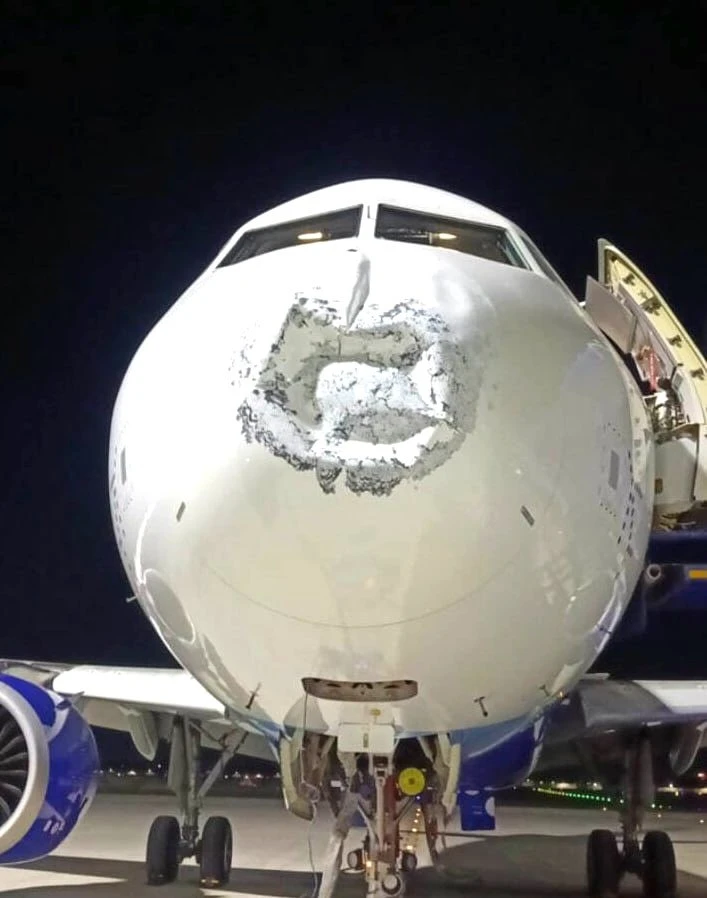 В самолёт индийского авиаперевозчика IndiGo ударила молния незадолго до приземления.