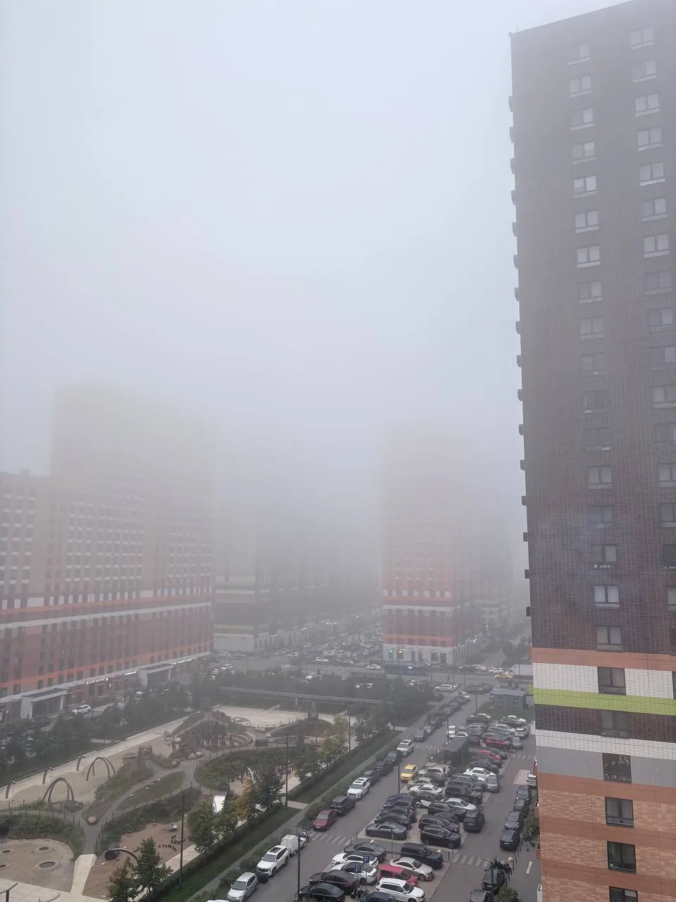 Вспоминаем, как выглядело утро пару дней назад 🌫