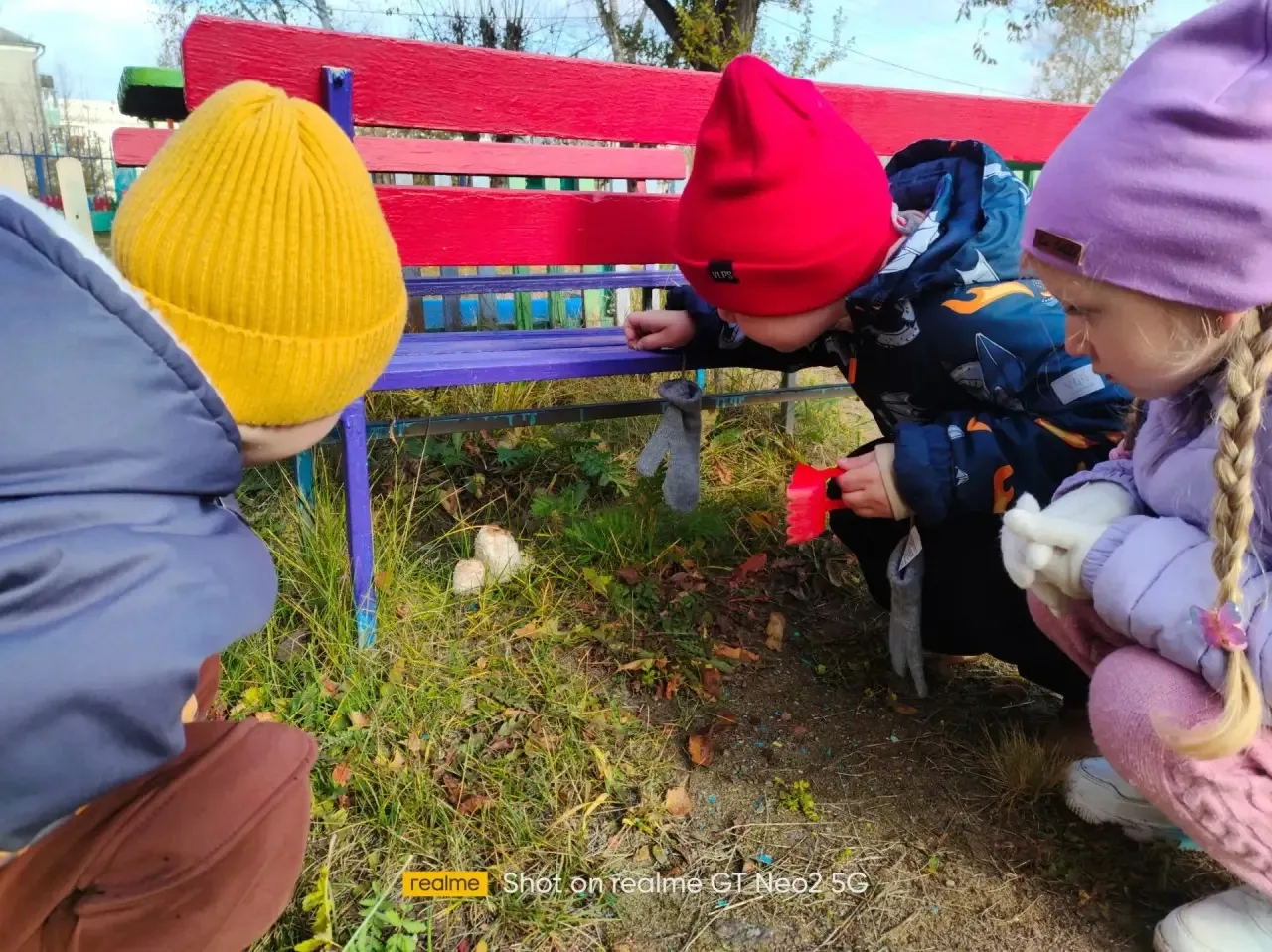 Осень в золотой косынке приглашает нас гулять 🍂