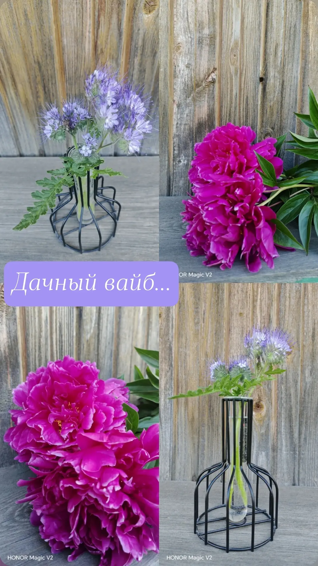 Фото