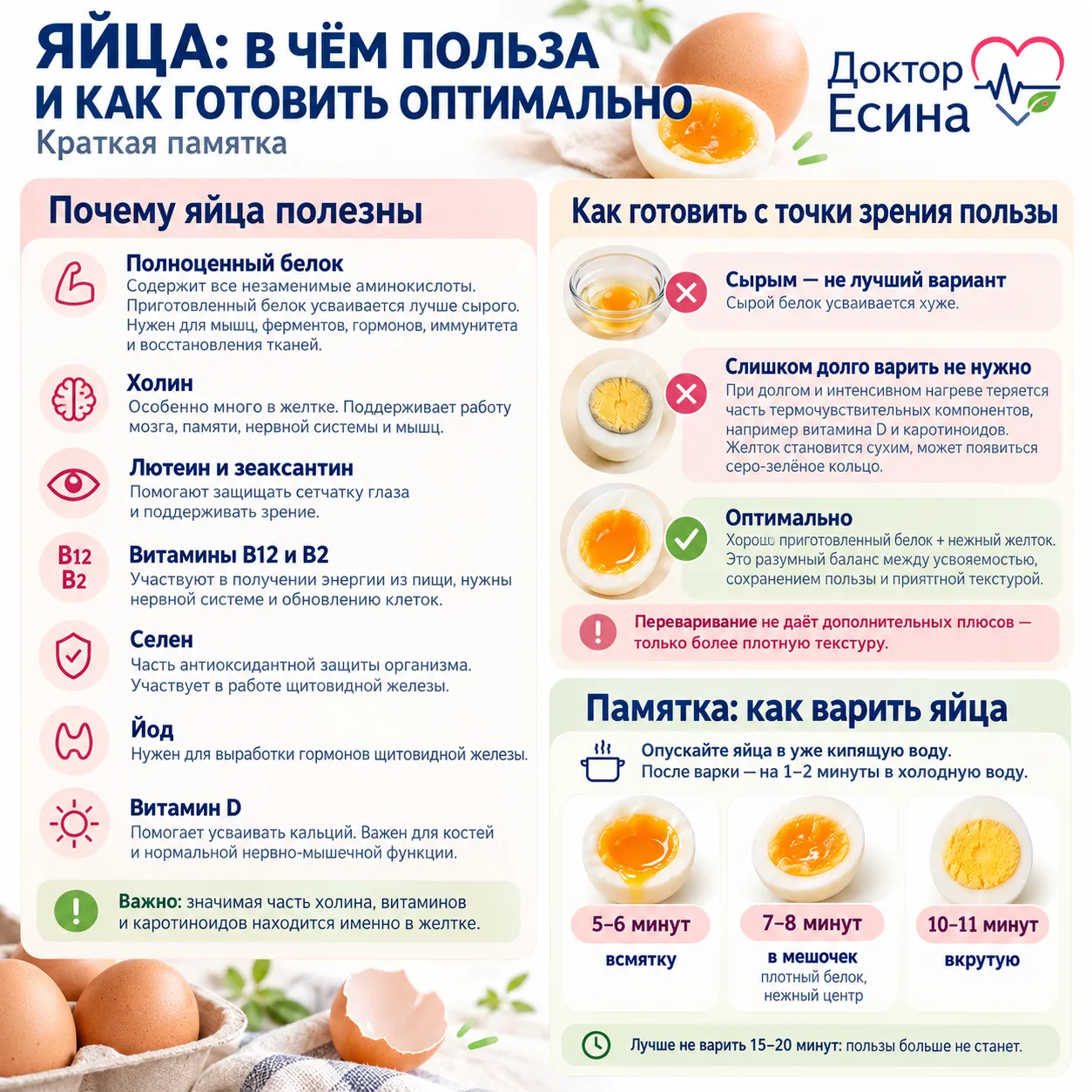 🥚 Яйца: как приготовить вкусно и с пользой