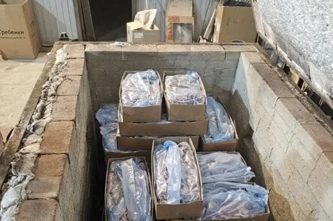 🥩 920 кг говядины со смертельной бактерией попали на ростовский завод ТАВР!