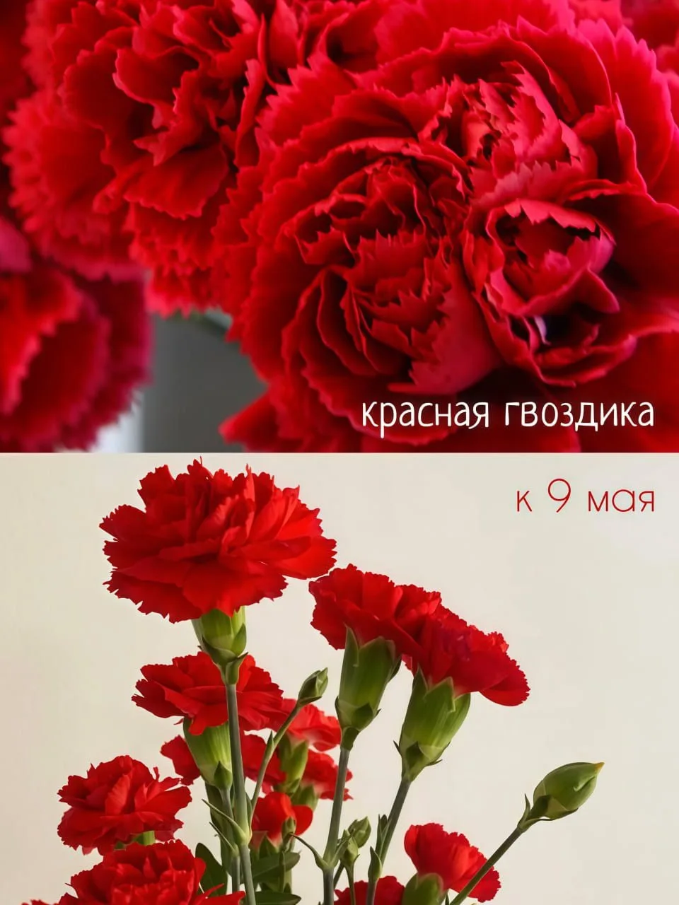 ОНЛАЙН-ВИТРИНА