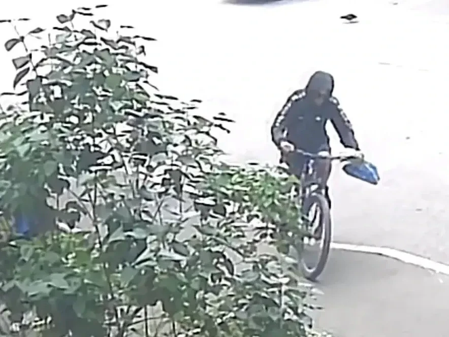 🚲 В Вологде пьяный украл велосипед и выбросил в кусты