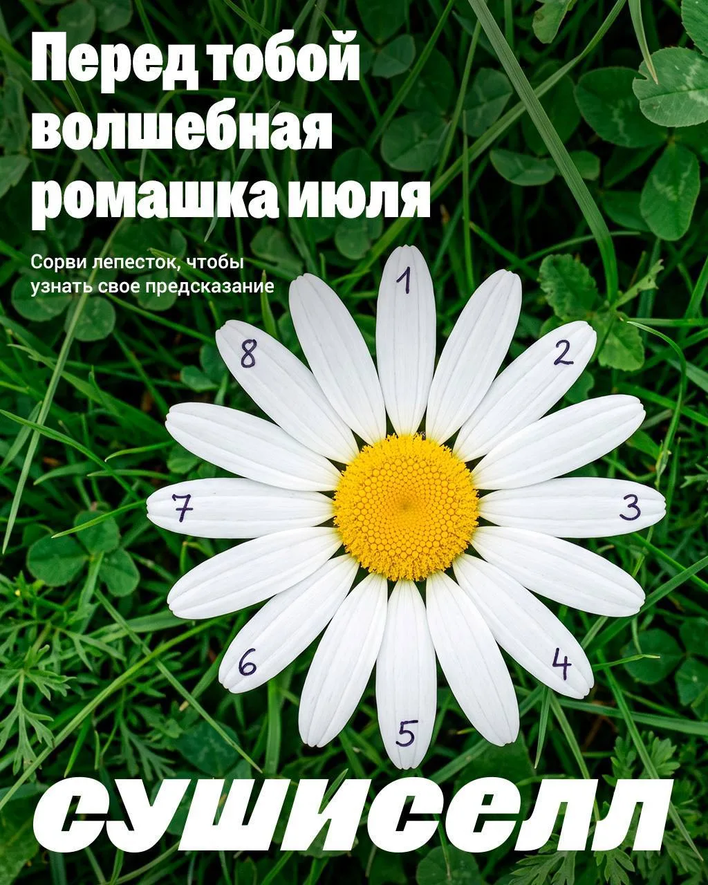 Не думай слишком долго 🌼