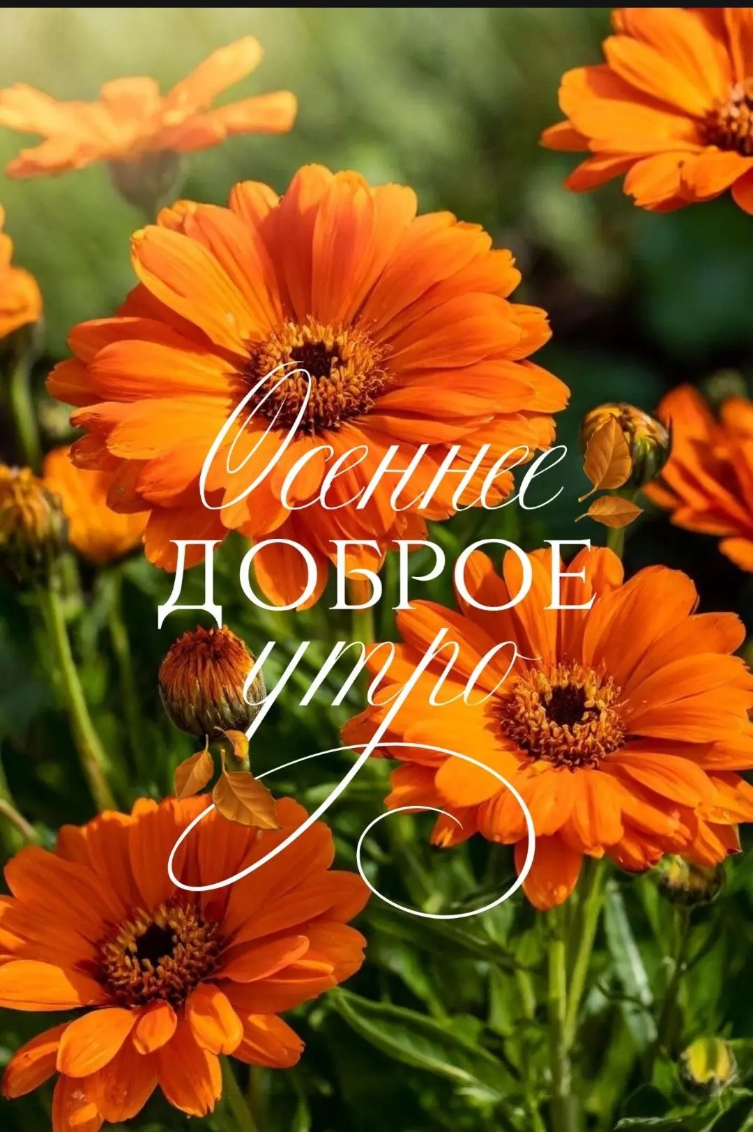 Красивые открытки❤️