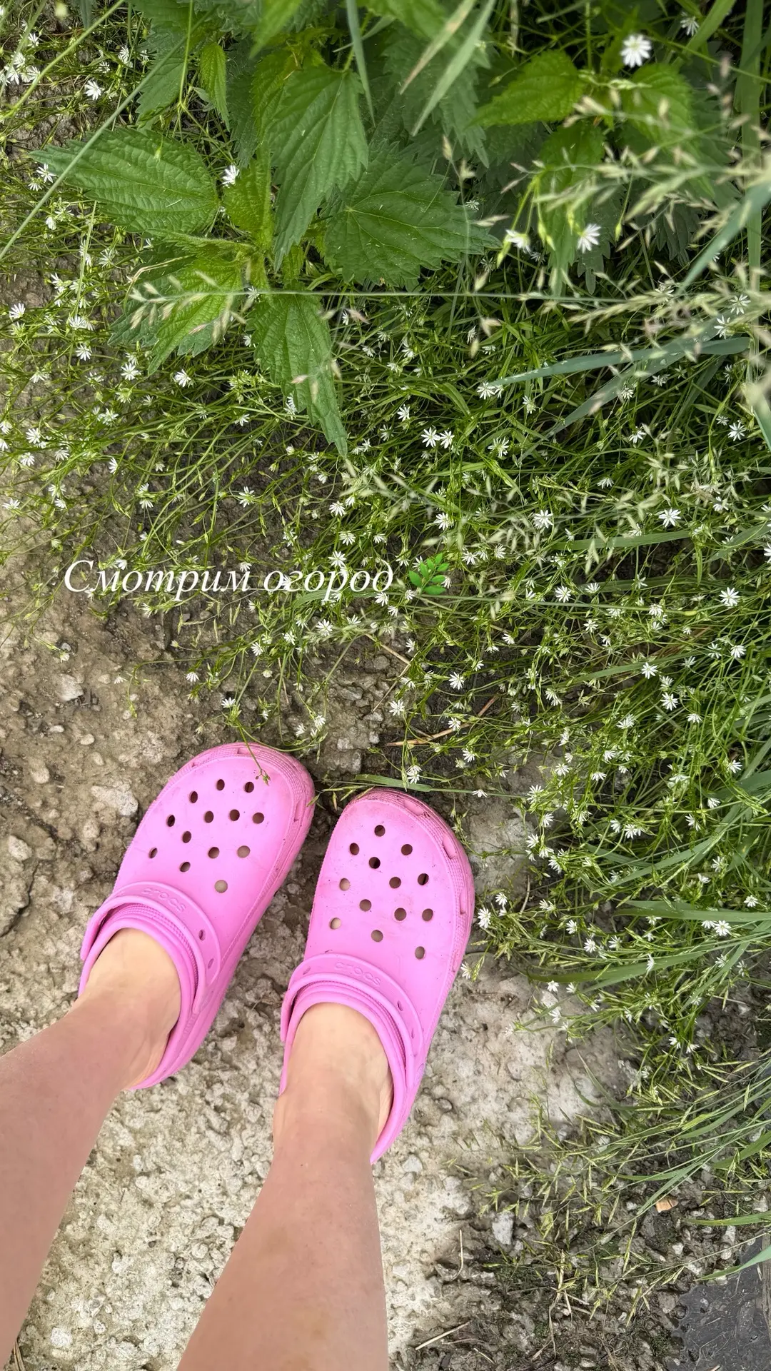 Обязательно угощайтесь и показывайте деткам , как что растет 😊