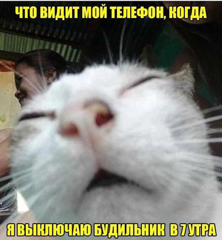 😂😂😂