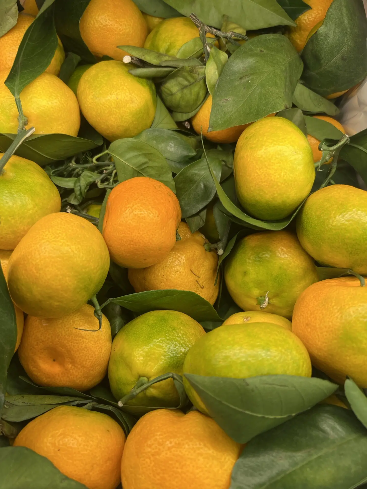 Вкусный свежий мандарин 🍊