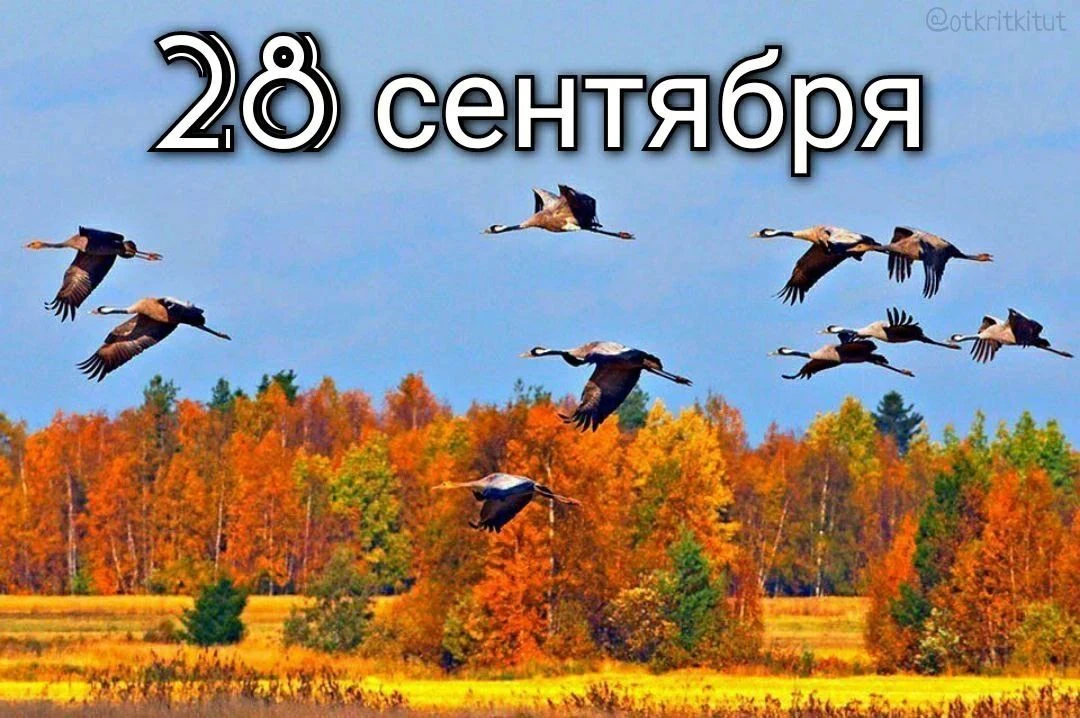 Праздники 28 сентября 🗓️