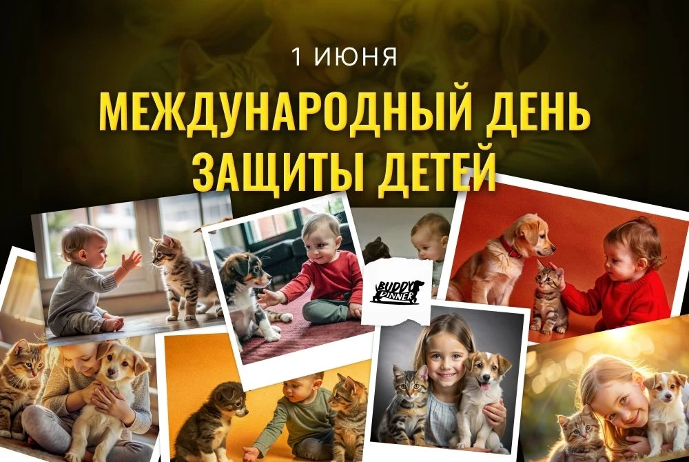 Сегодня день защиты детей. Это праздник наших малышей, и мы хотим пожелать им счастливо...
