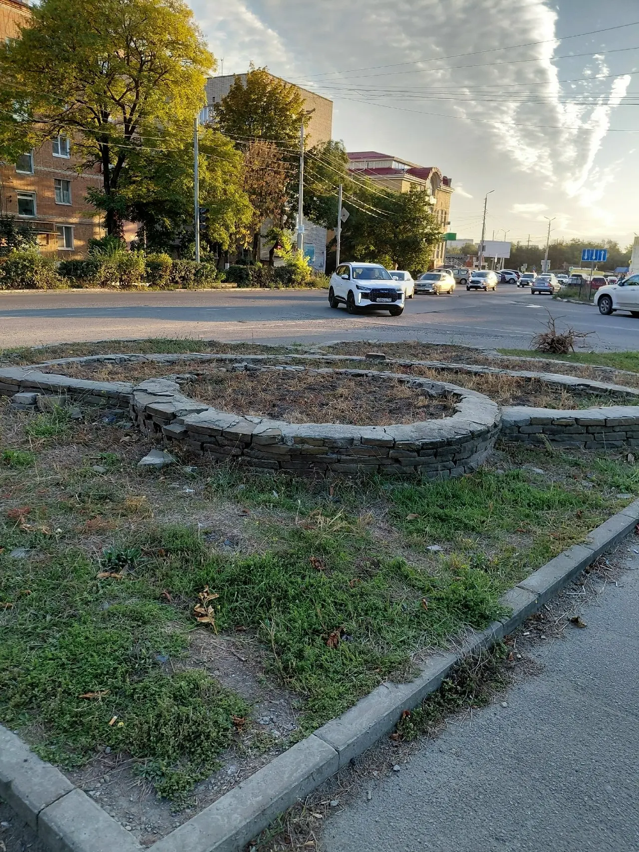 💬 ⁉ Светлана Анатольевна, городские клумбы оценить не хотите?