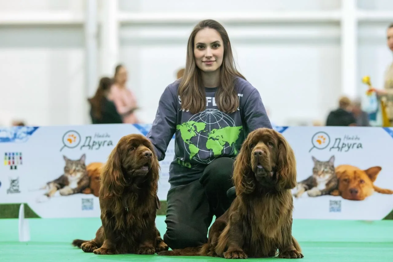 Срочно! Ищем жильё для сотрудницы 🐾