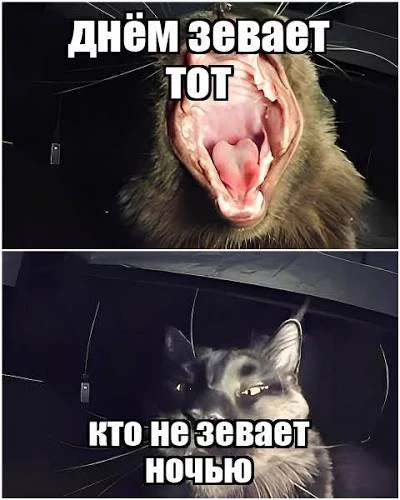 Изображение 1 к публикации «Терапевт твоего сердца»