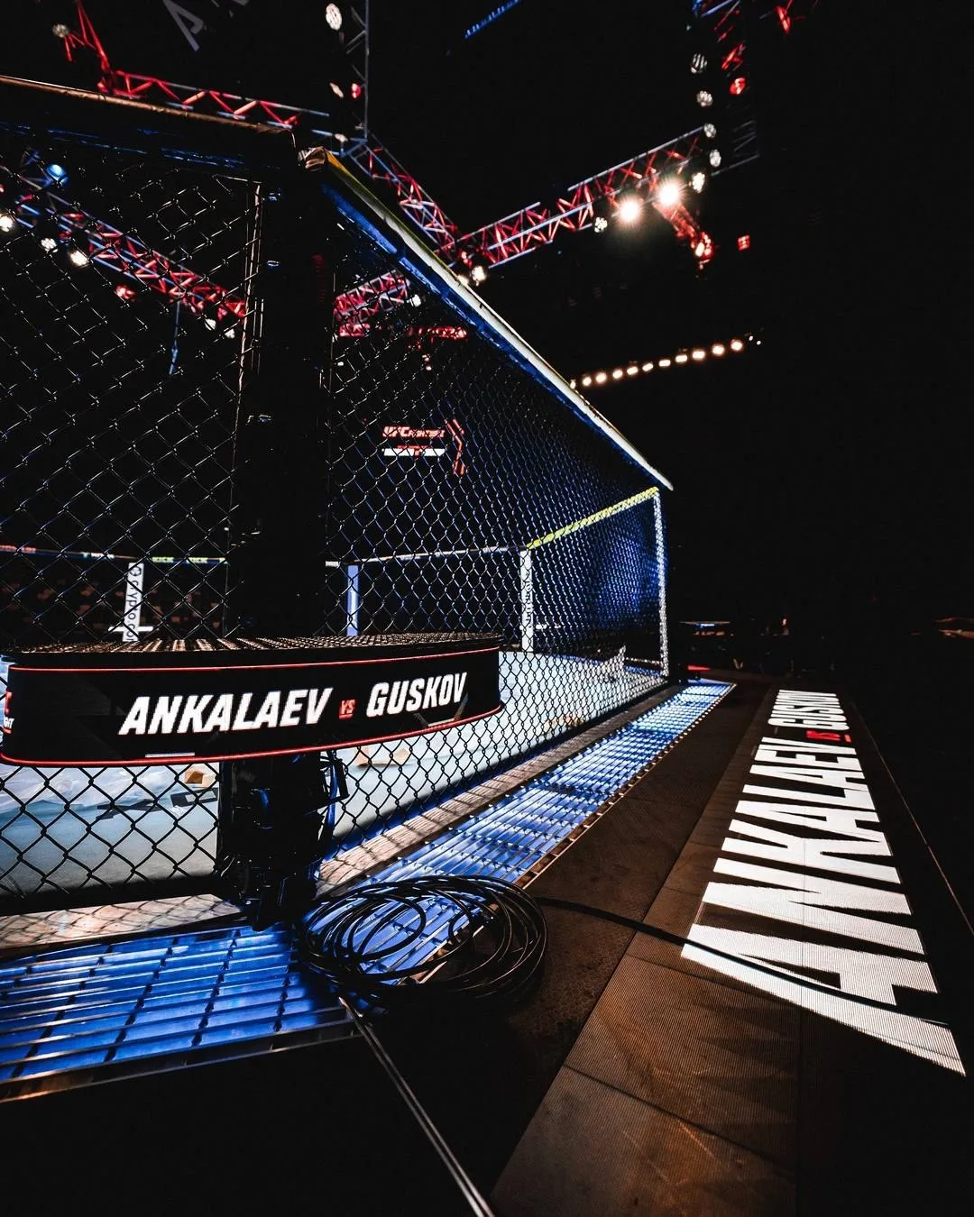 Изображение 1 к публикации «UFC»