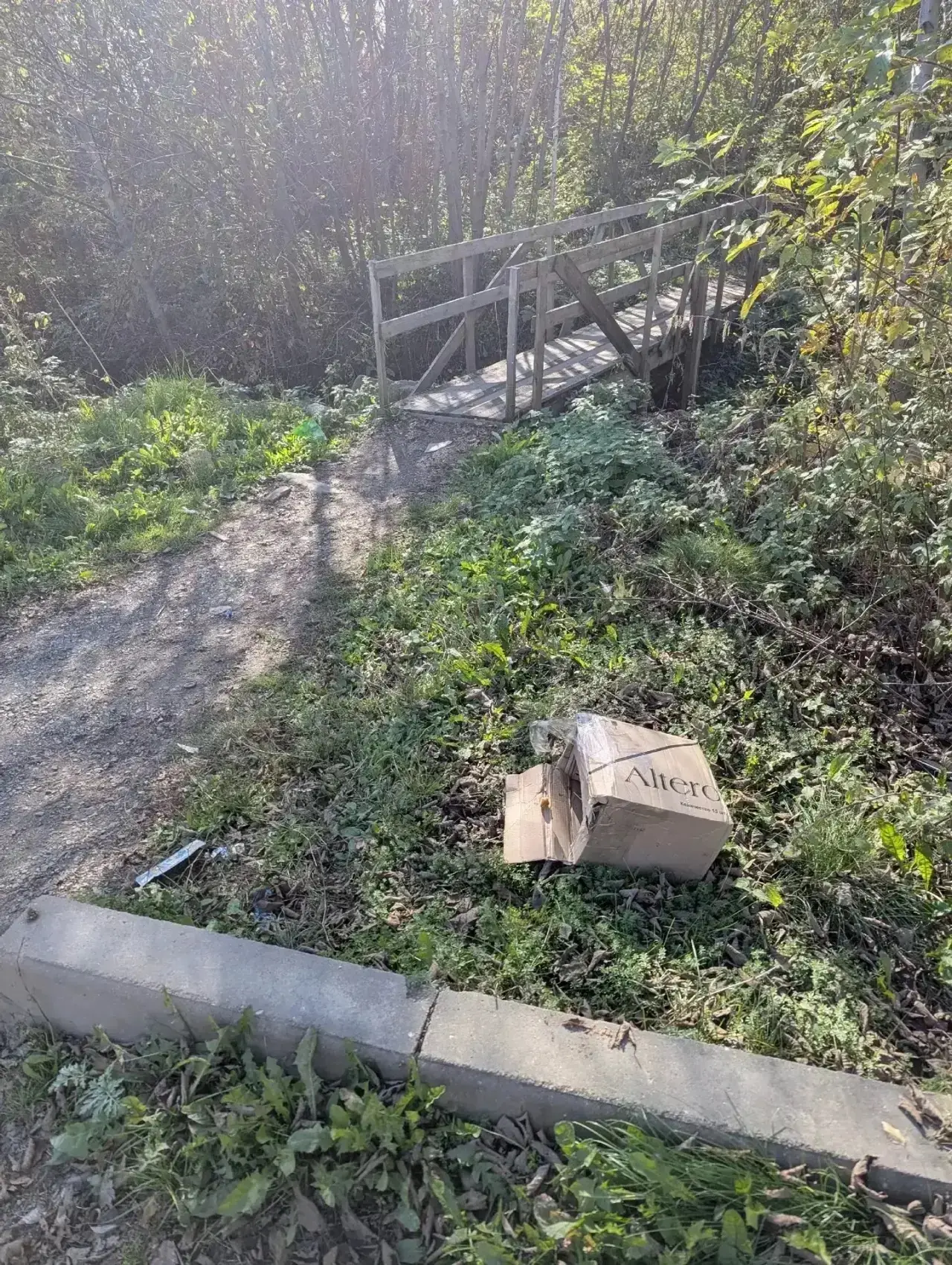 Были найдены выброшенные котята, каким-то бездушным человеком!
