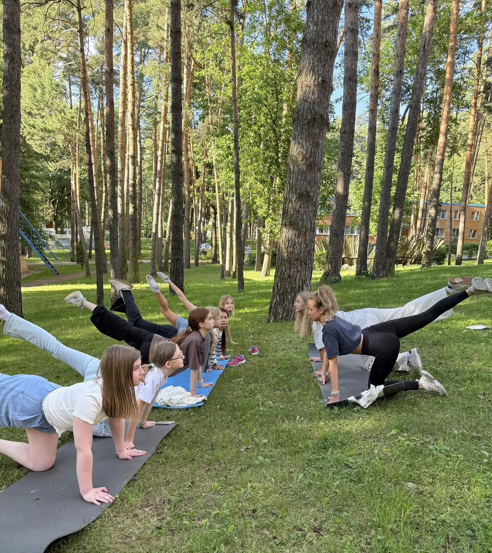 Бодрое утро! 🌲☀️ #ЕКнаВека