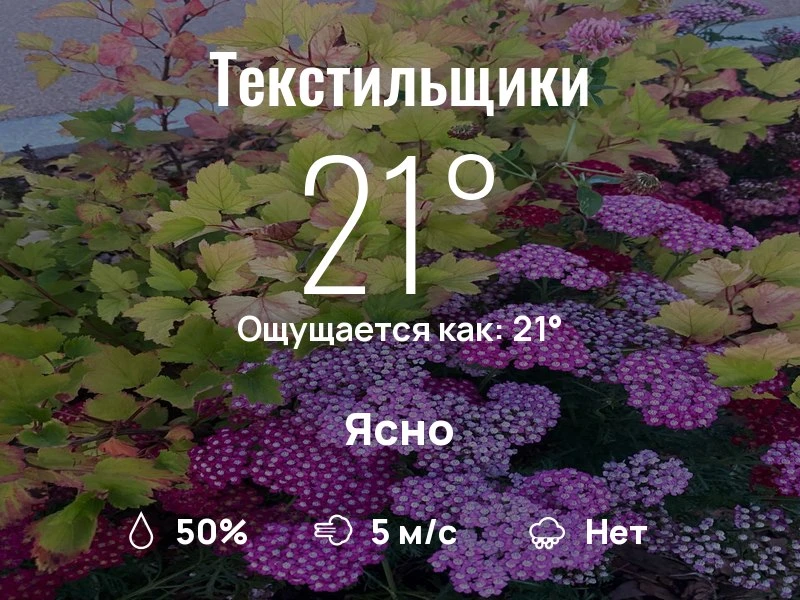 Что с погодой в Текстильщиках?

Одевайтесь по погоде, берегите себя!
Продуктивного дня, соседи!

#по