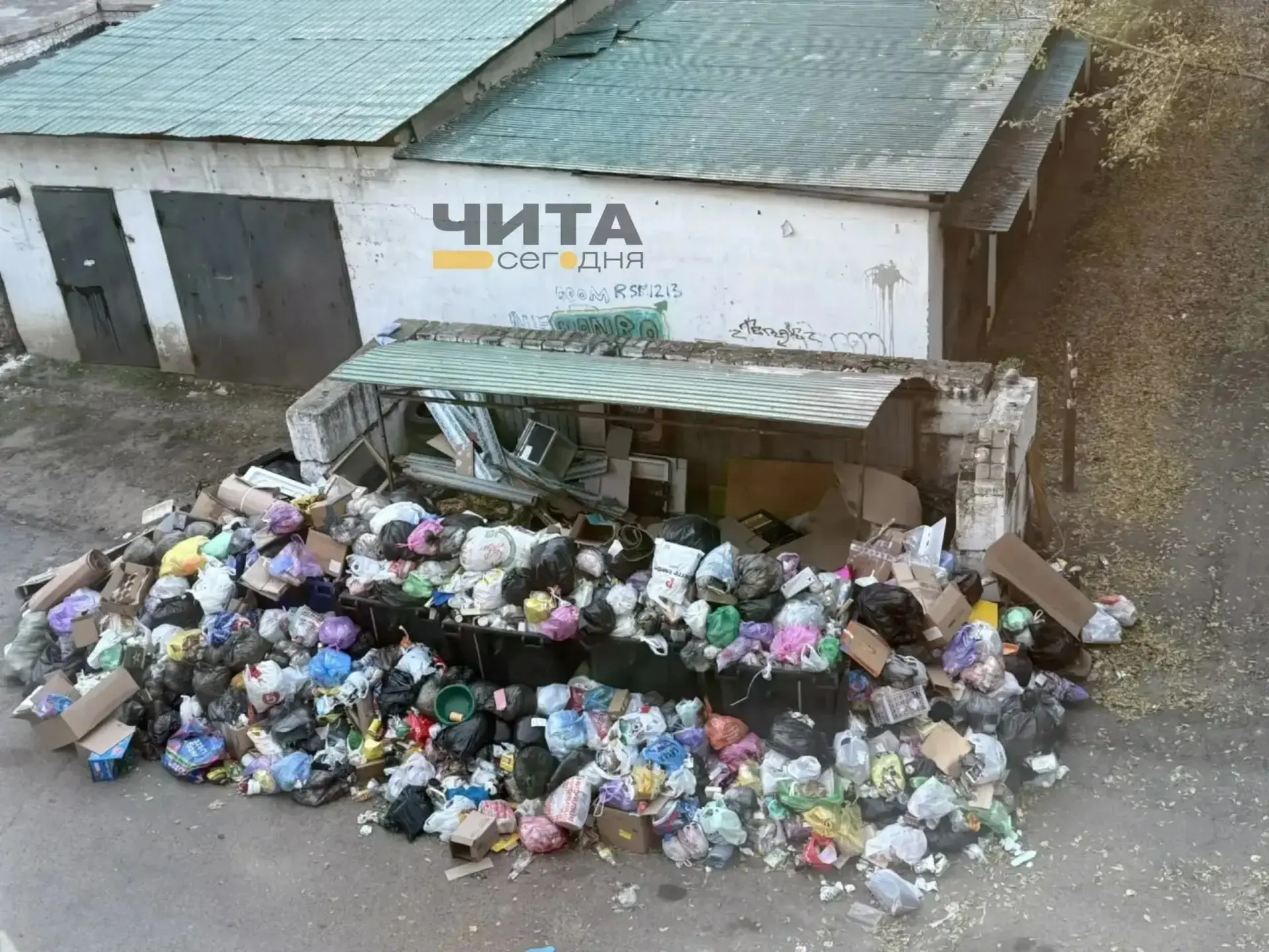 #эконадзор