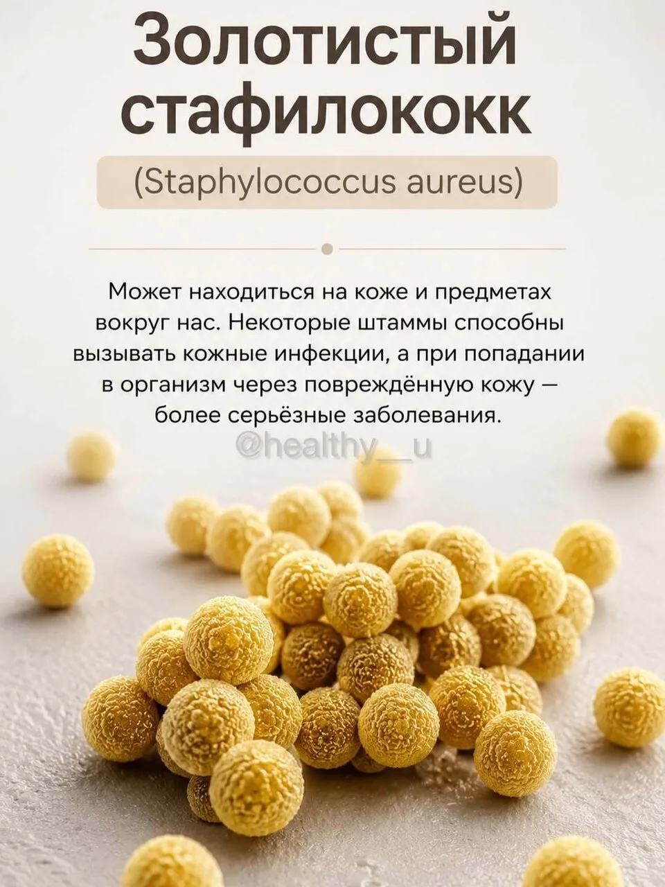 🔍 Невидимый мир вокруг нас: бактерии на поверхностях