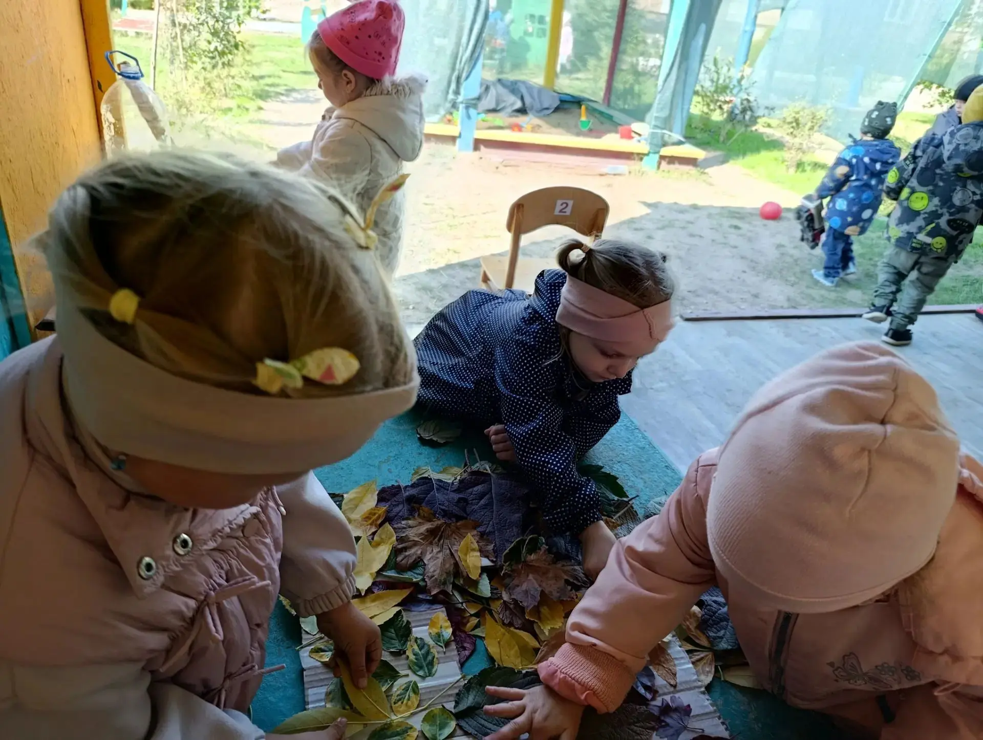 🍂 «Окунулись в осень с головой!» 🍁
