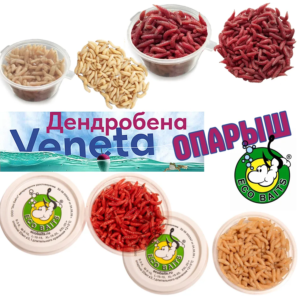 Живые насадки - Опарыш