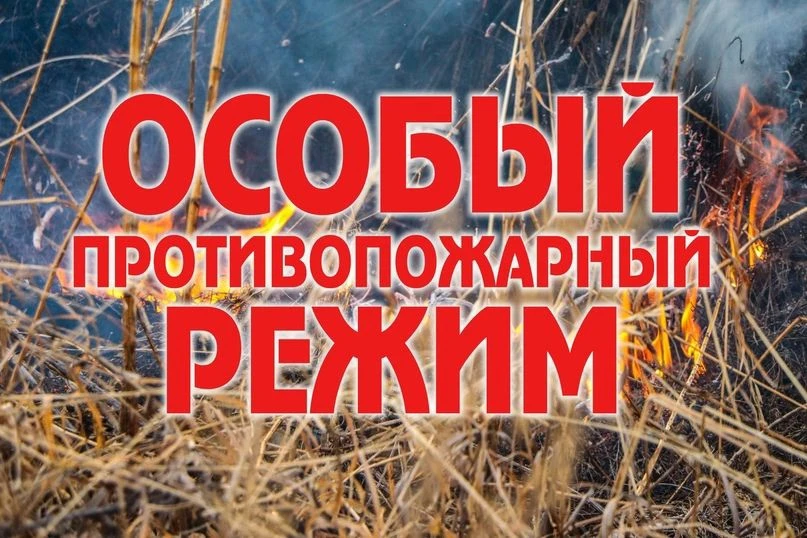 На территории всех городских и сельских поселений Гулькевичского района действует особы...