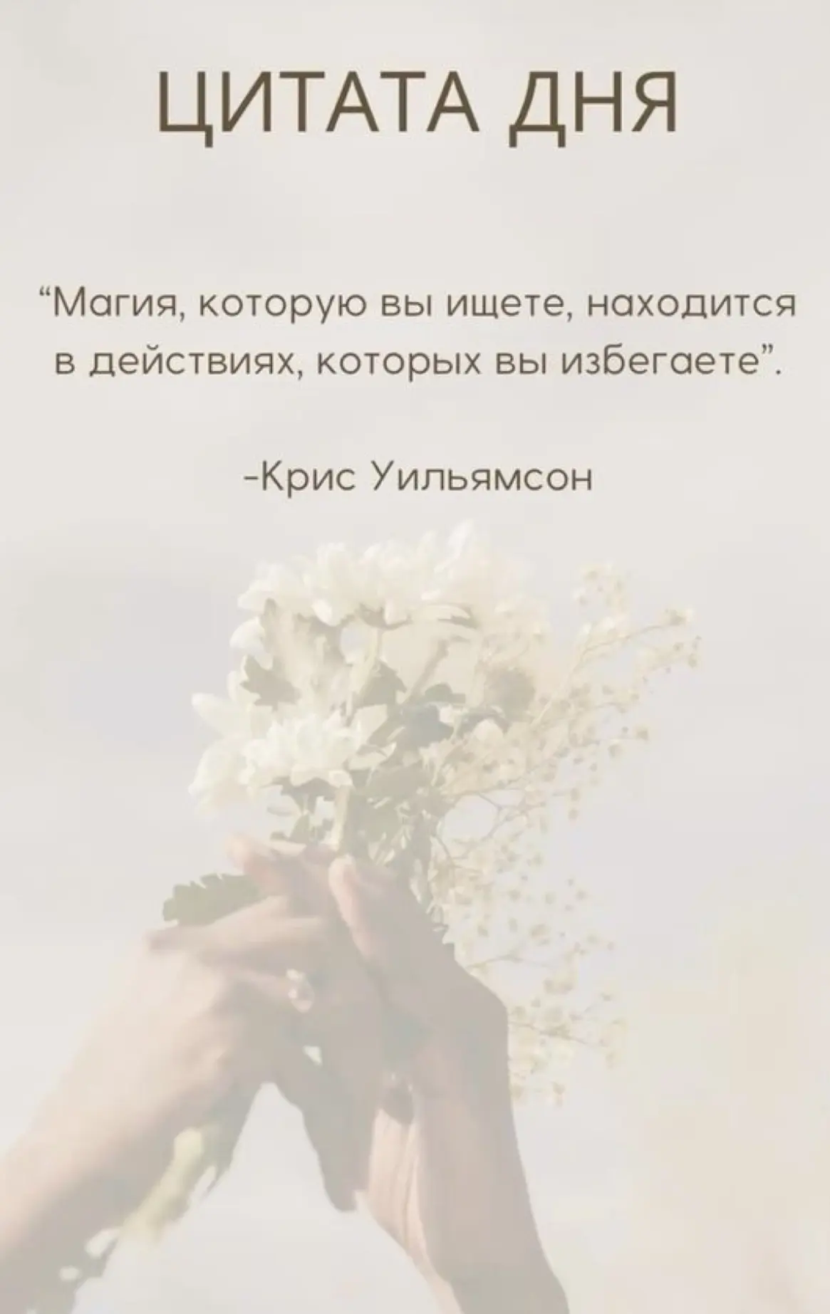 🔔Цитата дня 🔔